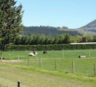 Mit der Taieri Railway durch die Natur Neuselands