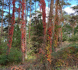 Wandern Trassenheide