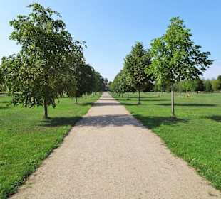 Der sommerliche Baumpark Thedinghausen