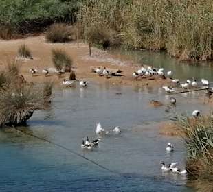 Wandern Georgioupolis