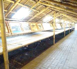 Bambushütte mit Bildern