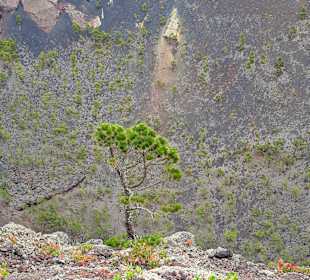 Vulkan San Antonio 1677