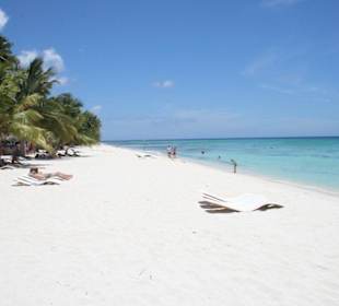 Insel Saona