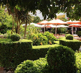 Plaza de los Naranjos