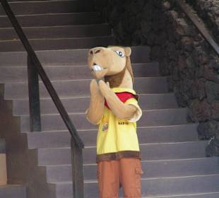 Das neue Maskottchen beim Seelöwenbecken