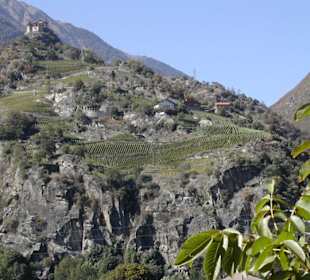 "Juval" in mitten von Weinbergen