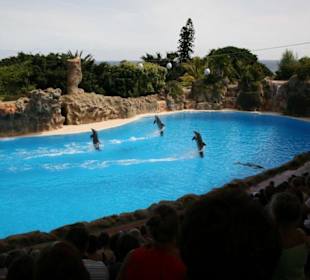 Ausflug nach Loro Parque