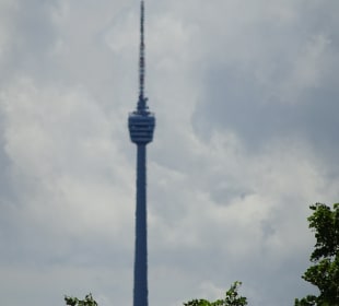 Fernsehturm vom Rosensteinpark aus