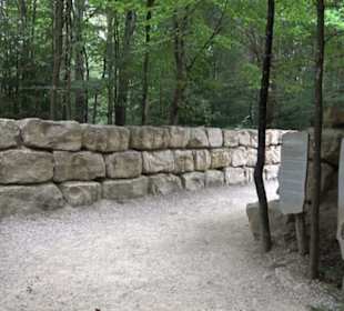 Dinosaurier Museum Altmühltal