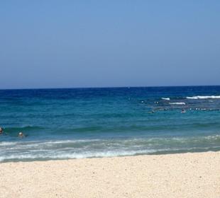 Plaża w zatoce Abu Dabbab