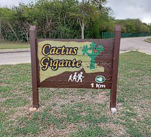 Stadtrundgang Varadero