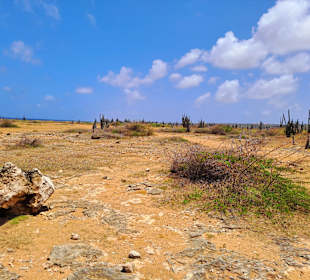 Boinare Cruisers Kralendijk