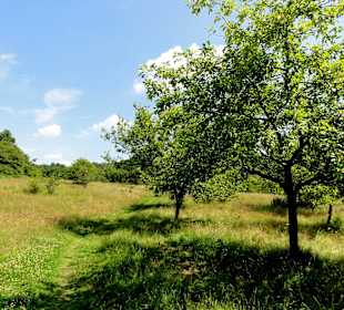 Impressionen aus dem Naturschutzgebiet