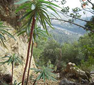 Wandern im Nationalpark