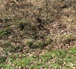 Geologischer Lehrpfad Kirnbachtal