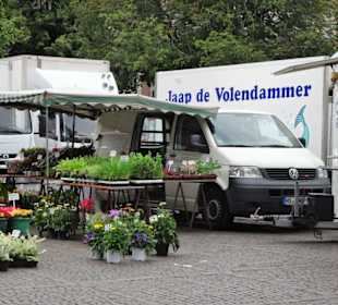 Rundgang über den Wochenmarkt am Marktplatz
