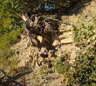 Der Aufschluss in der Natur