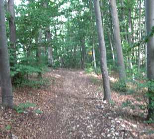 Tour entlang der Traifelbergfelsen