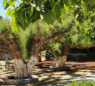 Inselrundfahrt Kreta