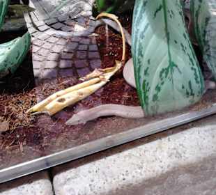 Tierpark Hellabrunn in München