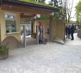 Eurasienbereich - Steinbockeingang