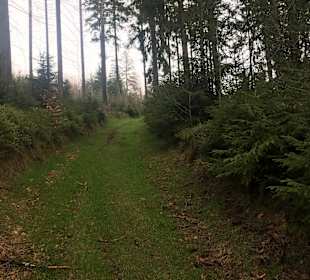 Wandern St. Englmar