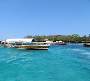 Die verschiedenen Tourboote