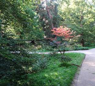 Rundgang durch den Alten Botanischen Garten Kiel