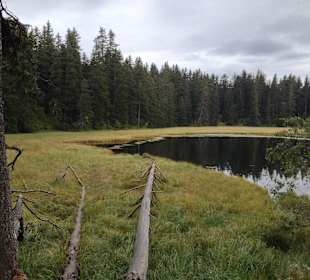 Bergsee 'Schwarze Lacke' Nähe Vigiljoch