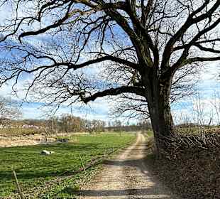 Wandern Gutenzell-Hürbel
