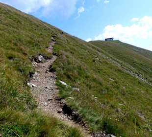 Blick nach oben und Kuhleiten im Hintergrund