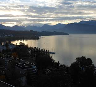 In der Morgendämmerung