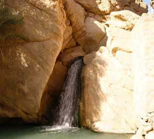 Ausflug Bergoase Tamerza