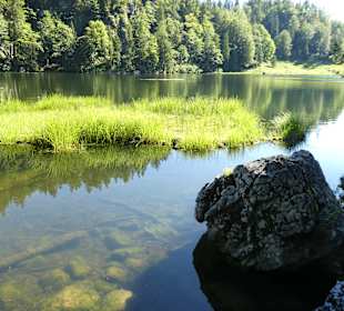 Wandern Schwendt