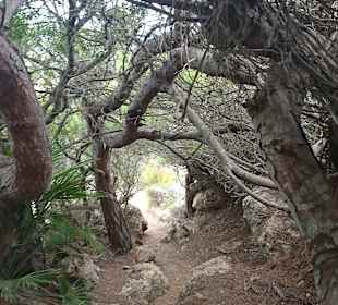 Wandern Capdepera
