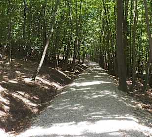 Naturpark Sparbach Hinterbrühl