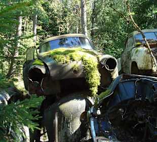 Autofriedhof am Foxen