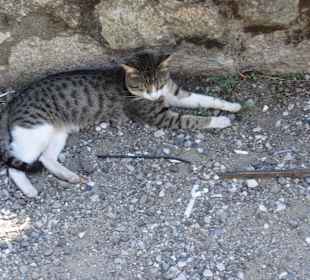 Kloster Agios  Nikólaos Anapafsás