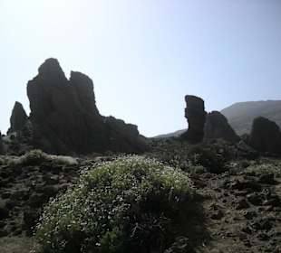 Park Teide