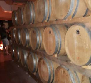 Führung Weinkellerei Boutari