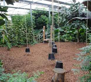 Raffeiner Orchideenwelt