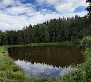 Wandern Moorbad Harbach