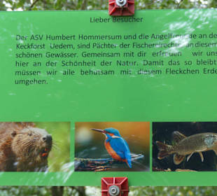 Haben wir leider nicht gesehen