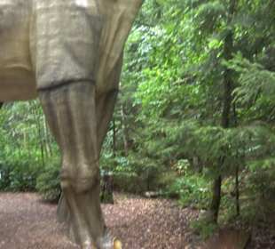 Dinosaurier Museum Altmühltal