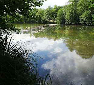 Impressionen vom Echternacher See