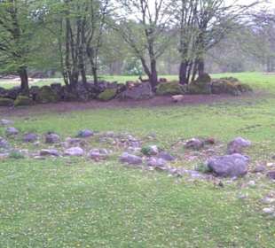 Südamerika Bereich - Litschi Wasserbock