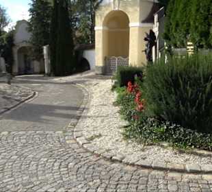 Haupt- und Waldfriedhof