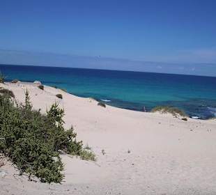 Strand Corralejo Dünen