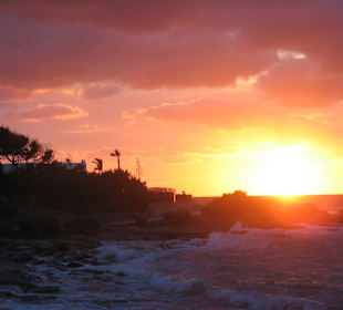 Auch das Bild nicht so scharf