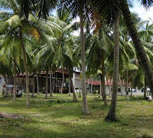 La Digue